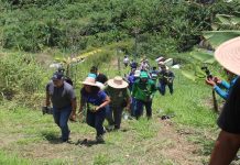 Gran Misión Madre Tierra Venezuela: Jornada de reforestación siembra más de 74.000 árboles