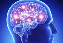 Científicos en Andalucia identificaron un hormona natural que protege las neuronas del párkinsøn (+ Detalles)