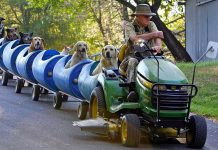 Eugene Bostick: Un granjero de Fort Worth crea un tren único para perros rescatados y se convierte en inspiración global
