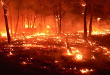 España sufre masivos incendiös forestales: Madrid cercada por el fuegö y seis regiones más entran en la fase de preemergencia