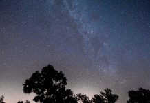 Científicos piden que nos preparemos para lo que llega en agosto: «Será la noche más espectacular de 2025» (+ Detalles)