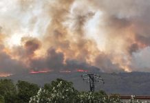 ONU: “los incendiös y las devăstaciönes en España son más que una cr!sis estacional» (+ Detalles)