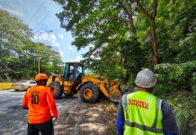 Más seguridad para los conductores: realizan limpieza profunda en la autopista Valencia-Puerto Cabello (+ Fotos)
