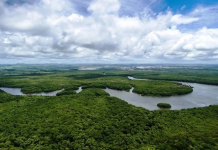 Venezuela, epicentro de la defensa del planeta: Caracas será sede del Congreso Mundial por la Madre Tierra con más de 3.000 participantes de 56 países
