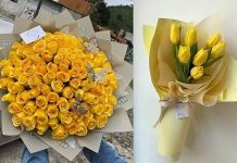 Septiembre y sus flores amarillas: qué tipos existen y a quién se le deben regalar (+ Detalles)