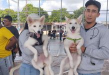 Más de 250 mascotas, entre caninos y felinos fueron favorecidas con jornada médica en Monagas