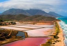 Ecoturismo con propósito: La Ruta Aves de Sal se consolida como un modelo de desarrollo y preservación en Nueva Esparta