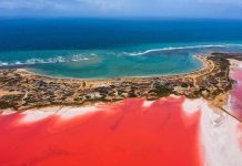 Salinas, playas y médanos: Falcón demuestra el éxito de su potencial turístico y se consolida como el estado más visitado en el asueto vacacional 2025