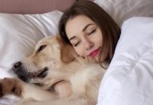 Las mujeres duermen mejor con los perros que con su pareja, según estudios: “Perciben que el animal vigila el entorno y reduce la ansïedad nocturna»