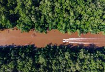 Más grande que París y sin edificios: el Parque Nacional Turuépano sorprende con su inmensidad, mostrando desde el cielo un paisaje virgen de manglares (+ Fotos)