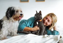 La dulce vejez de nuestras mascotas: cómo acompañar a perros y gatos en su última etapa de vida