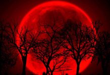 El cielo se teñirá de rojo este domingo con el último Eclipse Lunar total del 2025