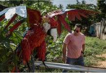 Iniciativa ambiental: venezolano transforma chatarra en arte POP convirtiendo materiales reciclados en increíbles figuras (+ Fotos)