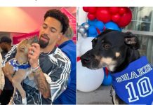 De la NFL al rescate animal: la historia del jugador que salvó a 19 perros de la eutanasïa (+ Detalles)