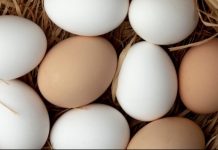 ¿Huevos blancos o morenos? Descubre cuál es el verdadero crack en tu desayuno (+ Detalles)