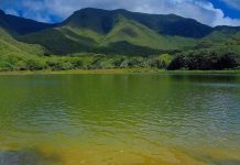 El secreto mejor guardado de Margarita: la Laguna Esmeralda, un oasis de aguas verdes que te invita a conectar con la naturaleza (+ Fotos)