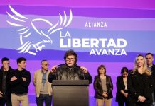 El peso y las acciones argentinas se desploman tras victoria electoral del peronismo, generando temorës económicos