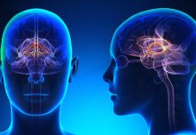 Gimnasia cerebral: especialista revela ejercicios prácticos para mantener la mente ágil y enfocada