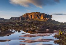 Un viaje a la mística naturaleza de Venezuela: ¡Canaima! donde la corriente del agua, la luz y la naturaleza cuentan historias eternas