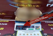 Desmantelan red de nărcøtráficø que ocultaba drøgă en comida para gatos en la frontera colombo-venezolana
