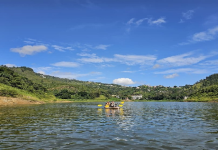 Aventura urbana: la «Ruta Turística Caracas en Kayak» te lleva a descubrir la sorprendente fauna del embalse La Mariposa