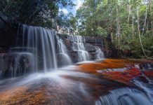 La naturaleza en su máximo esplendor: visita la Quebrada de Jaspe en Canaima, un río de agua cristalina sobre una roca de intenso color rojo (+ Fotos)