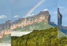 ¡Desde la cima del Auyantepuy! Un viaje que más allá del turismo, representa la aventura de conectar con la tierra de los ancestros (+ Fotos y Video)