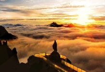 Cifras récord en Mérida: el estado recibió más de 34 mil turistas en la temporada vacacional y alcanzó una ocupación hotelera del 68%