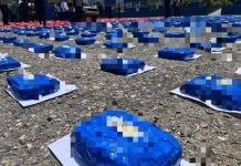 Policía Nacional Bolivariana incautó 864 panëlas de marihu@nä en medio de una baläcera (+ Detalles)