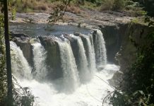 Un espectáculo de agua y vegetación: así es el Salto Canaimita, el paraíso fotográfico que demuestra que la tranquilidad está al alcance de la mano en Anzoátegui (+ Fotos)
