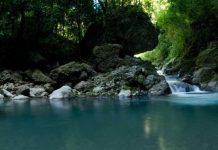 De Caripe a Maturín: el estado Monagas se viste de gala con una amplia agenda de talleres y eventos para conmemorar el Día Mundial del Turismo