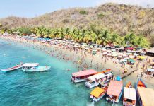 La Ciudad Náutica de Lechería y el avistamiento de delfines en Guanta, entre las nuevas rutas turísticas aprobadas para Anzoátegui