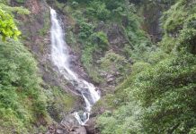 Un paraíso para las aves y los turistas: Táchira evalúa la creación del primer parque de aviturismo de Venezuela en el parque Chorro del Indio