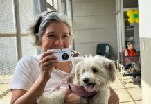 Baruta pone en marcha un sistema de registro para mascotas y sus dueños a fin de brindar seguridad a los animales