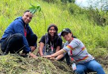 Ministerio de Turismo siembra árboles en el Waraira Repano para concientizar sobre el cuidado ambiental