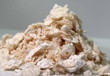 Investigadores japoneses avanzan hacia un plástico sin petróleo con un nuevo compuesto biológico