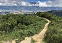 Un paraíso de biodiversidad en Baruta y El Hatillo: conoce la importancia del Cerro El Volcán, declarado Zona Protectora y crucial para el clima capitalino (+ Fotos)