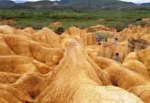 El secreto mejor guardado de Barquisimeto: disfruta de un encuentro con la naturaleza en la Hundición de Yay (+ Fotos)