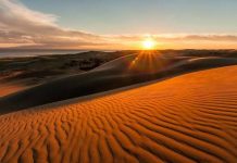 Los Médanos de Coro, el imponente desierto de arena dorada que convierte a Falcón en un destino turístico único en Venezuela (+ Fotos)