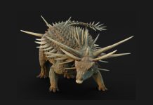Descubren en Marruecos el anquilosaurio más antiguo y extraño del mundo (+ Detalles)