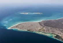 Disfruta del paraíso en la Isla La Tortuga: Un tesoro natural en el Caribe venezolano (+ Video)