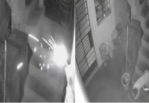 ¡La salvadora de Huaral! Perra apaga con sus dientes una dinämita para salvar a su familia (+ Video)