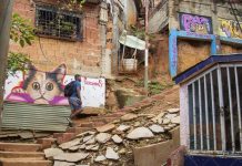 La Cota 905 Tours: Una nueva ruta turística y deportiva que celebra el talento local (+ Detalles)