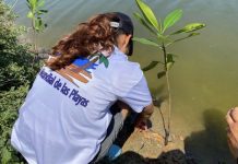 Ministerio del Ecosocialismo crea un comité para el saneamiento y la protección de las zonas costeras