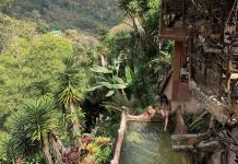 Pozo Suruapo: Un escape gastronómico rodeado de la naturaleza en San José de los Altos (+ Fotos)