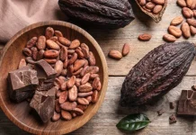 Más que un chocolate: dos proyectos de cacao de Mérida son nominados por su aporte al turismo gastronómico y sostenible