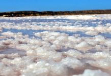 Alianza estratégica: CIIP concreta inversión internacional para la explotación de sal en Araya, municipio Cruz Salmerón Acosta