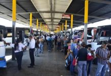 Récord en afluencia turística: Terminal de pasajeros de Valencia movilizó 530 mil personas en vacaciones