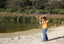 Del 9 al 12 de octubre en la Coordillera Andina: afinan detalles rumbo al Primer Congreso Mundial de Aviturismo