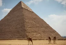 No fue por esfuerzo humano: un nuevo estudio reveló el verdadero origen de la pirámide más antigua del mundo (+ Detalles)